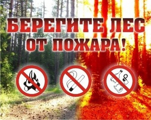 Предупреждение и ликвидация лесных пожаров! Берегите ЛЕС от ПОЖАРА!