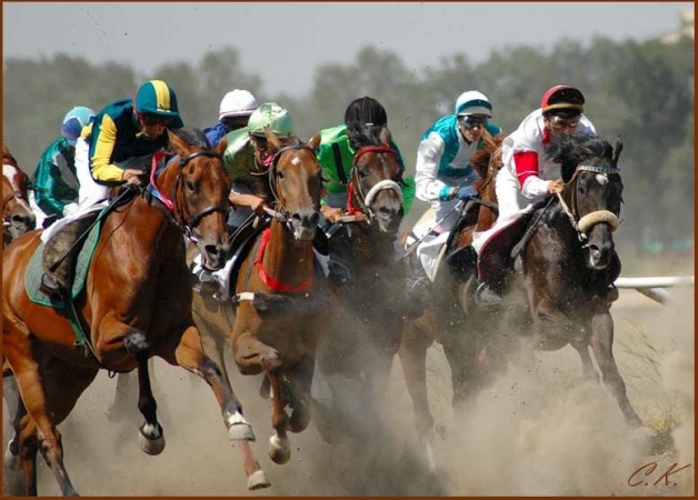 Фестиваль «Ишимский конный стан» 