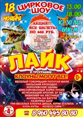 Пермский цирк "Лайк"