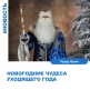 НОВОГОДНИЕ ЧУДЕСА УХОДЯЩЕГО ГОДА! НОВОГОДНИЕ ЧУДЕСА УХОДЯЩЕГО ГОДА!